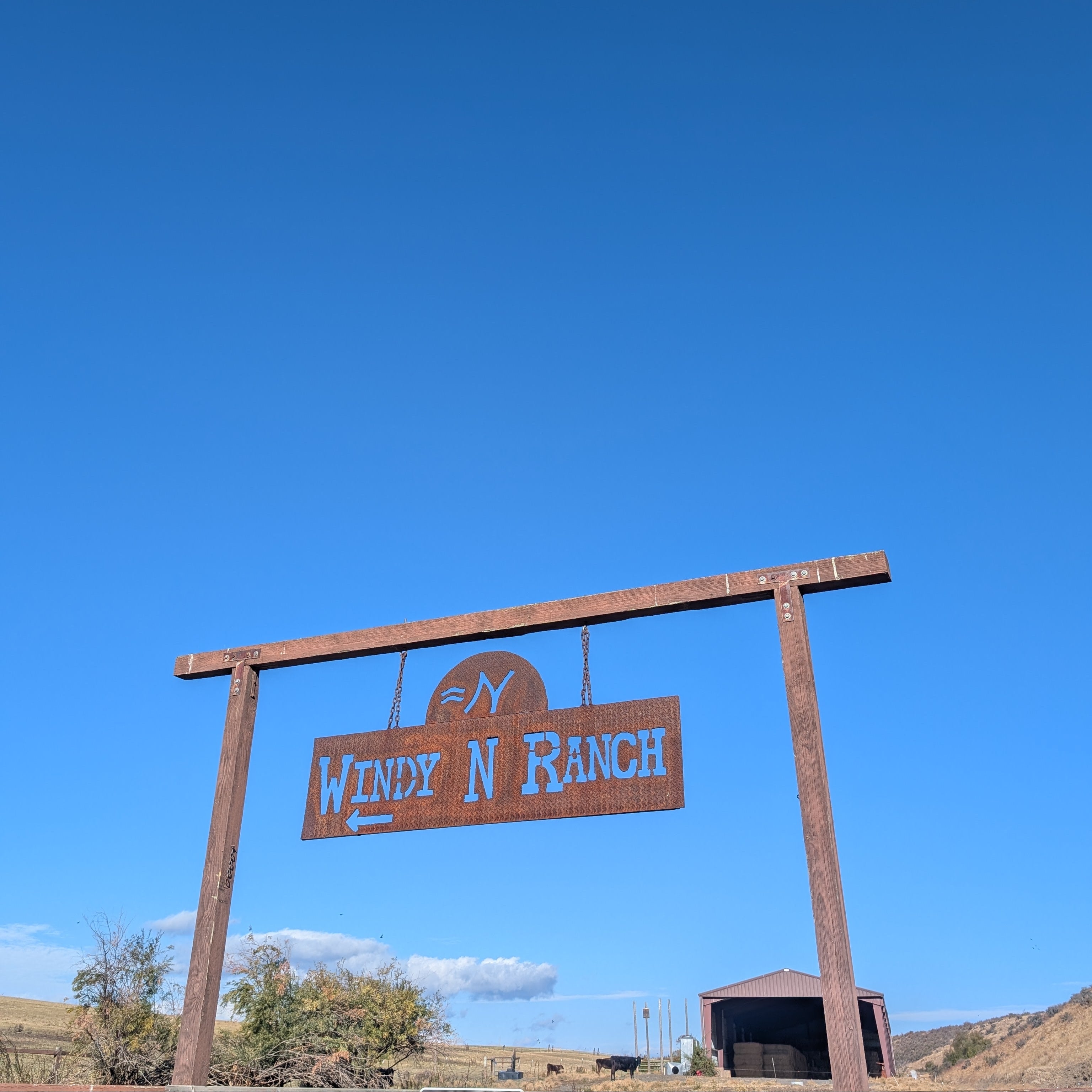 Sign for 'Windy N Ranch' against a blue sky in Ellensburg, Washington. They are family farm that is USDA approved, animal welfare approved, and human raise grass fed and finished beef
